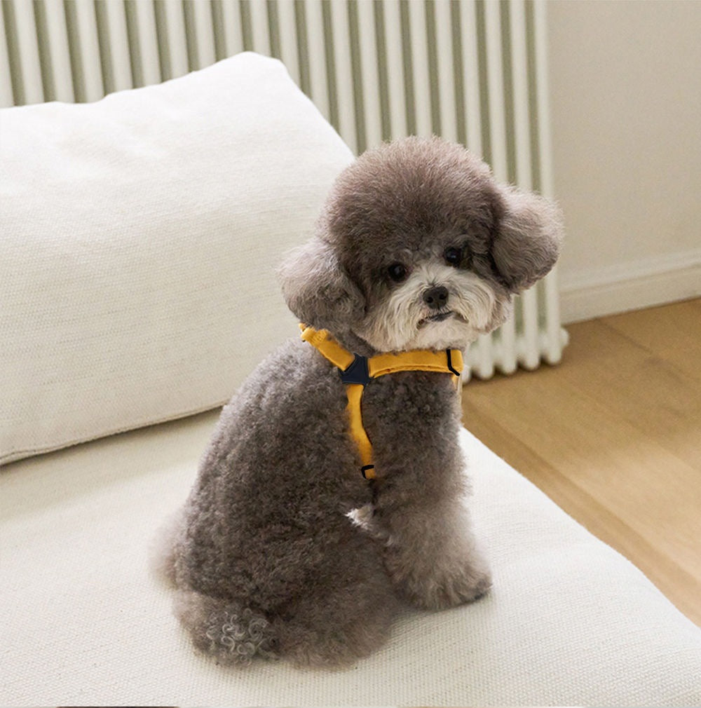 ベストかわいいペットを連れて外出します メガ割ワンピースパンツトートバッグ
