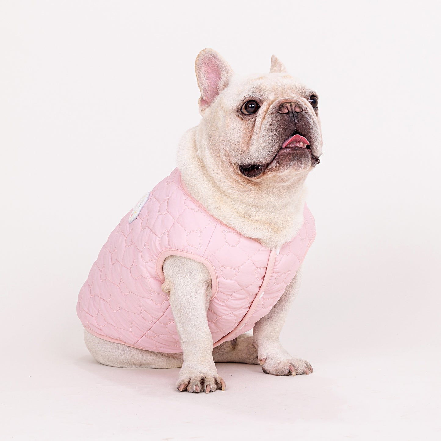 人気ペット服 犬の服 ペットの服 秋冬 ブルドッグモデル ブルドッグ 4色 コットンベスト