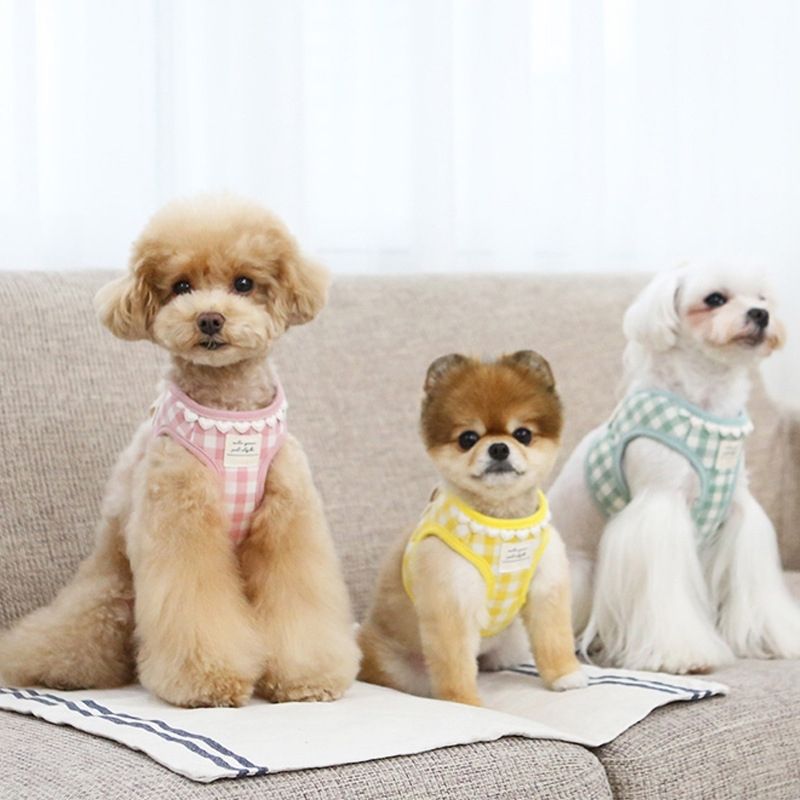 韓国版の中で小型の犬のテディは熊のコーキに比べて外出して犬を散歩します メガ割ワンピースパンツトートバッグ
