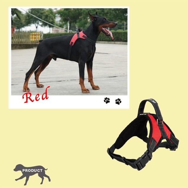 介護用 から 首輪 散歩 ハンドル付き 大型犬用 ハーネス 犬 中型犬 犬服