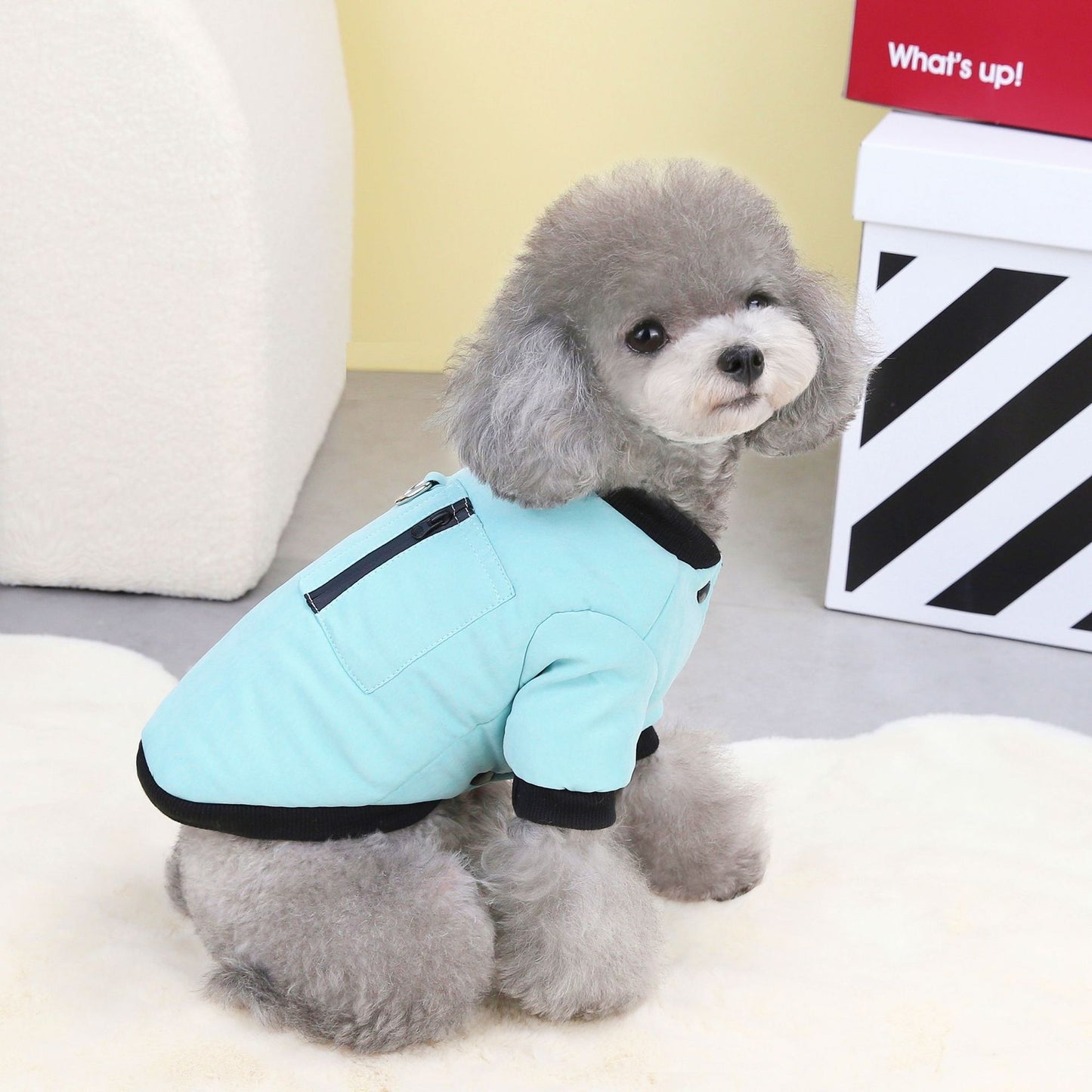 猫 犬 洋服 犬服 ペット服 大中小型犬 ペット用品 犬/猫用 犬の服 ペットウエア 小型犬 中型犬 通気 可愛い ドッグウェア トレーナー 犬 服 ワンピース サロペット ビションフリーゼ 犬猫服