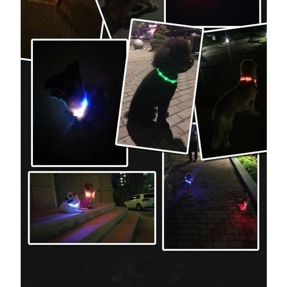 小型犬 プレゼントラッピング無料 犬 中型犬 シリコン 大型犬 防水 猫 LED 夜の散歩 首輪 取り外し可能 光る