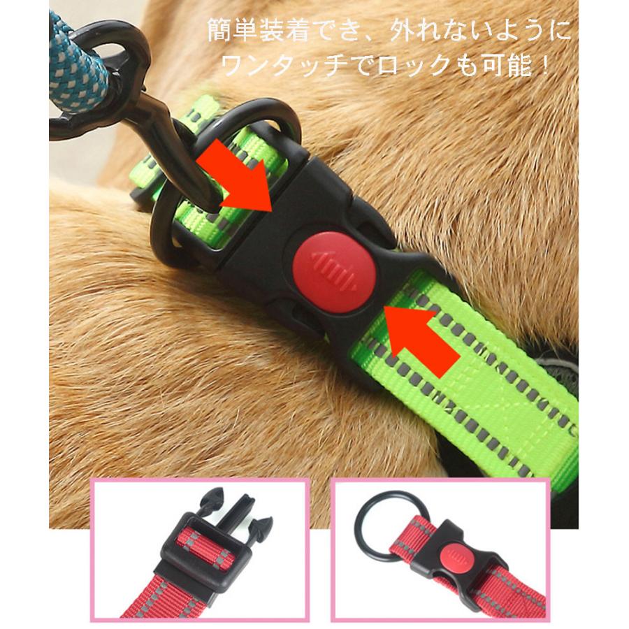 柴犬 小型犬 犬 首輪 犬用首輪 チワワ 迷子札 トイプードル 犬首輪 犬の首輪 おしゃれ いぬ 中型犬 くびわ 小型犬用 犬の首輪 かわいい 軽い