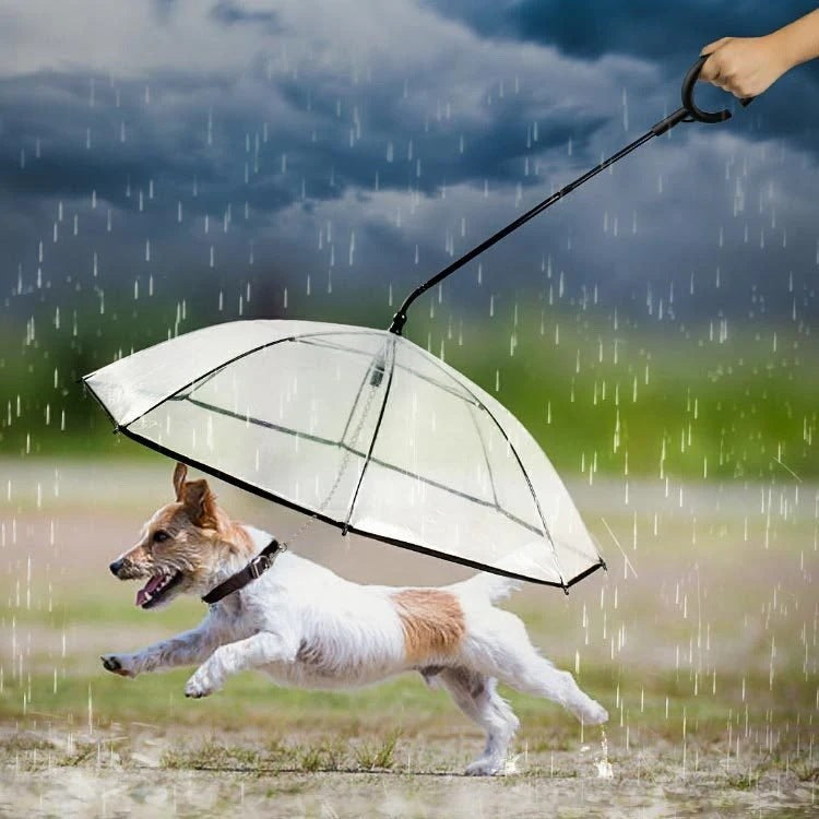 雨具 ペット用 散歩 クリア 犬 中型犬 いぬ お出かけzq リード付き傘 アンブレラ レイングッズ