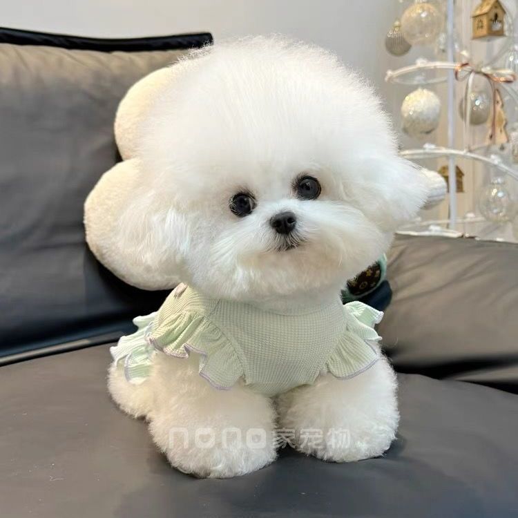 ペット猫 テディ かわいい 通気性の良い服 ビションフリーゼ 犬服 春夏新作 ワッフル 犬 服 犬の服 犬 洋服 犬の服夏 犬洋服