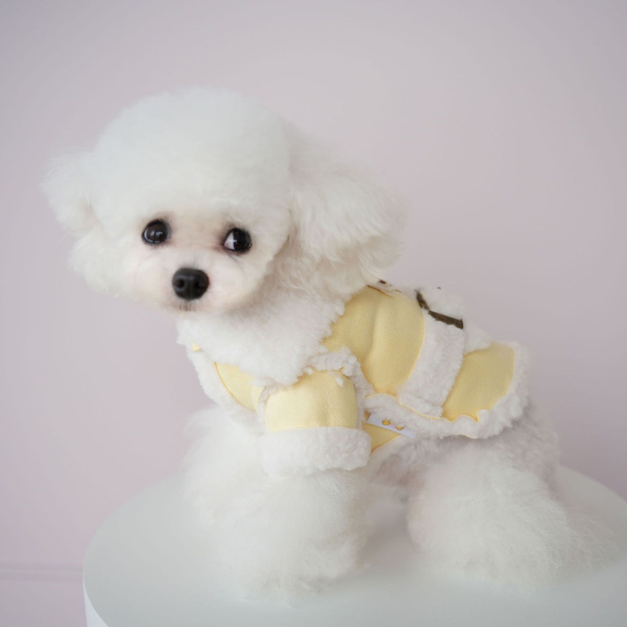 犬服新しいペットの服イミテーションスエードワンピースコットンコートソフト快適な冬のコートプードル二本足の服