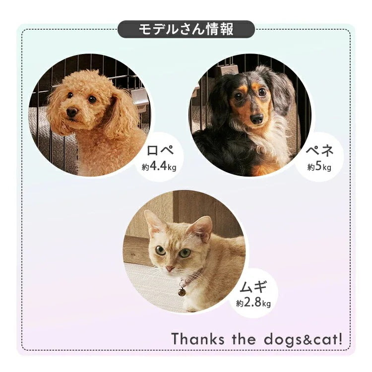 沸騰新柄追加 用おむつ ペット用オムツ ペット おむつ オムツ 紙オムツ犬 猫 犬用オムツ 犬用おむつ パンツ サニタリー ペット オス メス トイレ 脱げにくい 全4サイズquma