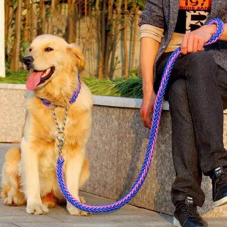 首輪付きリードセット セット ハーフチョーク 全11色×4サイズ XL + しつけ ペット 首輪 犬 中型犬 大型犬 パラコード S M L リード