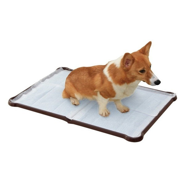<a href="https://www.qoo10.jp/gmkt.inc/Search/brand.aspx?brandno=49458" target="_blank" class="title_brand" id="btn_brand" title="アイリスオーヤマ">アイリスオーヤマ</a>P-SPTD シーツぴたっとトレー ダブルワイド ブラウン メーカー直送