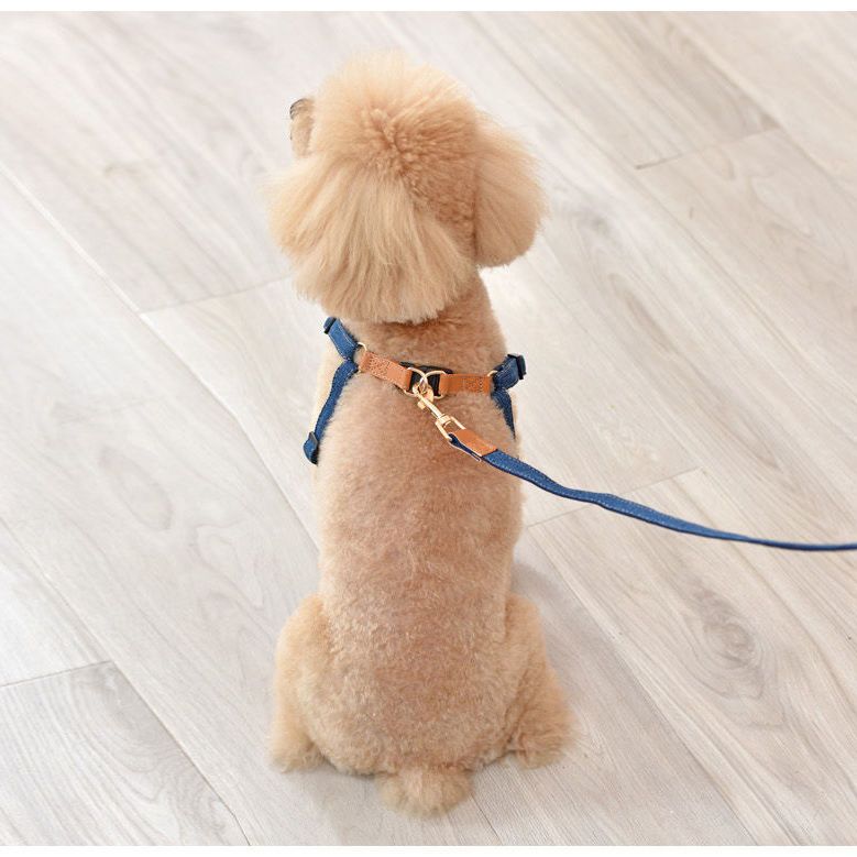 小型犬の胸のストラップの犬の牽引縄のテディは熊の貴賓の子犬より犬のひもの犬のチェーンを散歩します