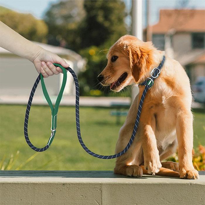 長さ1.8m しつけ用首輪 訓練リード 首輪一体型 犬リード ペットグッズ 反射素 調節可能 リード 犬用 ロープ 引っ張り防止リード スリップリード 散歩 犬用品