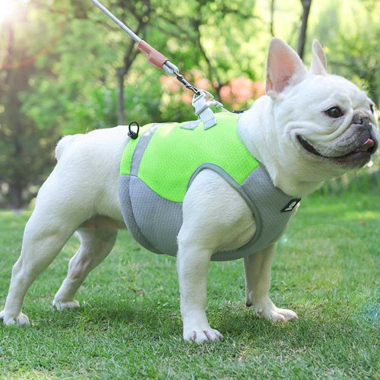【今月限りのアクティビティ】【出荷が迅速である】犬 熱中症対策 犬クールウェア 犬クールベスト ハーネス 気化熱 冷却 涼しい 犬服 夏用 冷感服 小型犬 中型犬 大型犬 夏用服 紫外線対策 軽量 ク