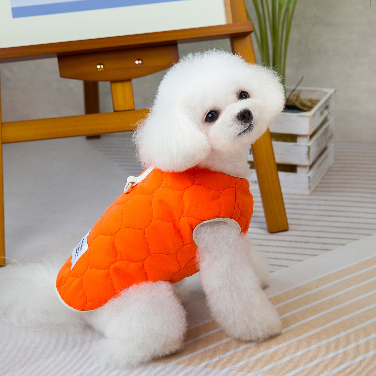 人気犬の服ペットの服小型犬猫も着れる秋冬あったか快適ピーチコットンコート