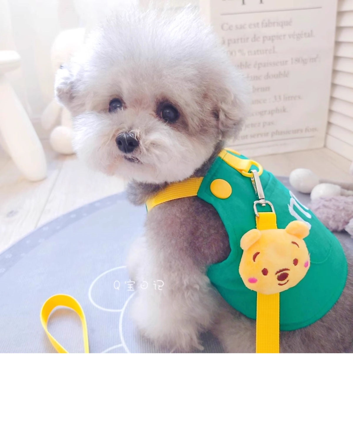 ペットの猫の小型犬のテディの犬の胸のストラップの牽引ロープのベスト式のドッグランの犬のひものかっこいいかわいい衝突色 メガ割ワンピースパンツトートバッグ