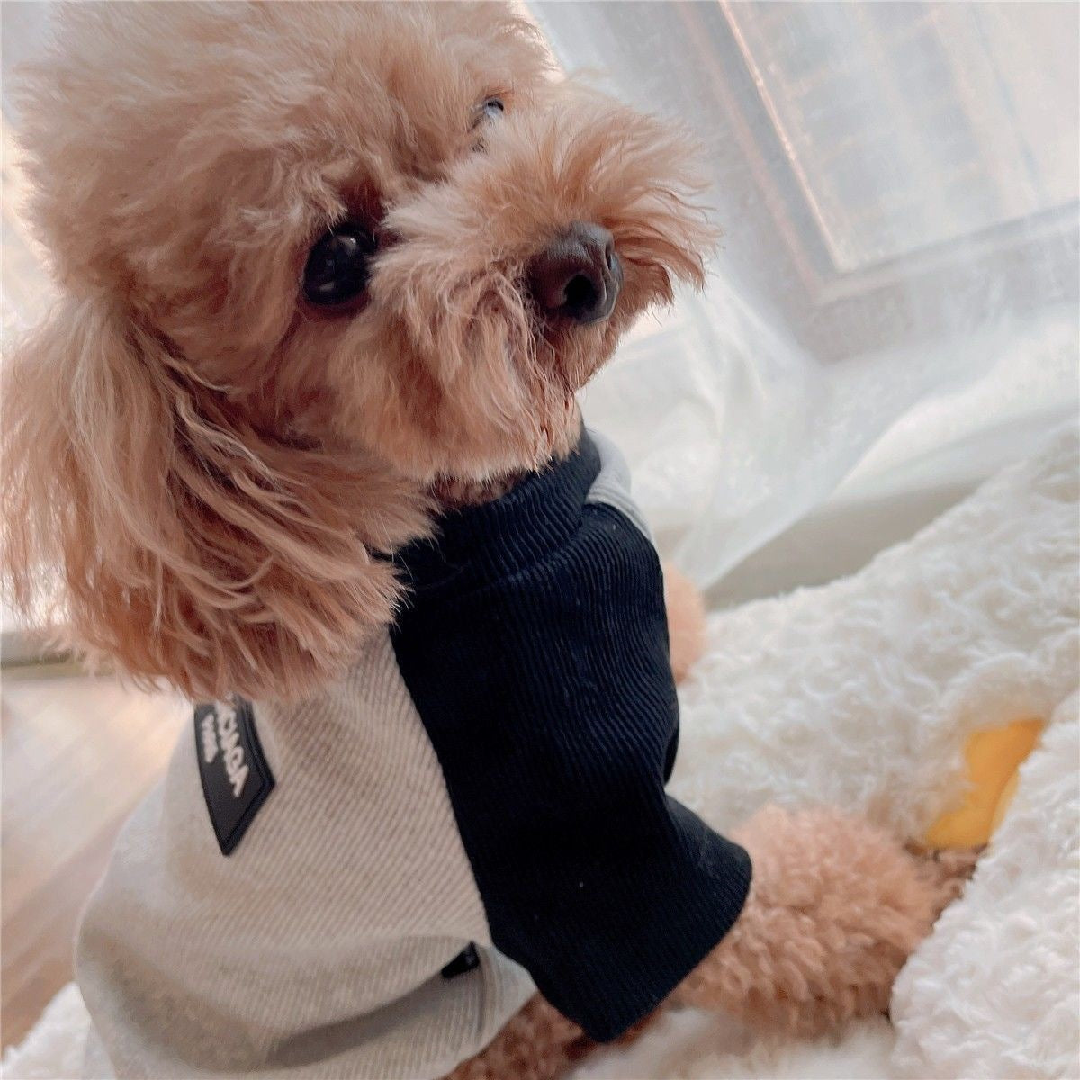 秋冬新作 グレー×ブラック パッチワークデザイン 犬服 トイプードル ビションフリーゼ フレンチブルドッグ対応 犬 服 犬 服 犬服 犬の服 ペット用品 ハーネス 小型犬