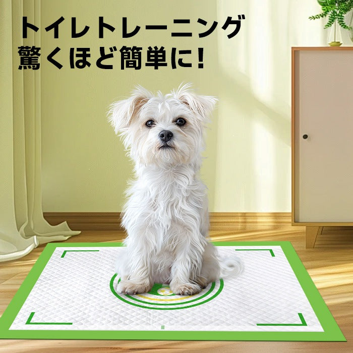 <a href="https://www.qoo10.jp/gmkt.inc/Search/brand.aspx?brandno=109151" target="_blank" class="title_brand" id="btn_brand" title="Honeycare">Honeycare</a>ペットシーツ 中厚型 柄付き レギュラー 80枚/ワイド 40枚/スーパーワイド 20枚 横漏れ防止 トイレシート 犬 猫 ペットシート おしっこシート 瞬間吸水 逆戻り防止 ペット用 しっかり超吸収