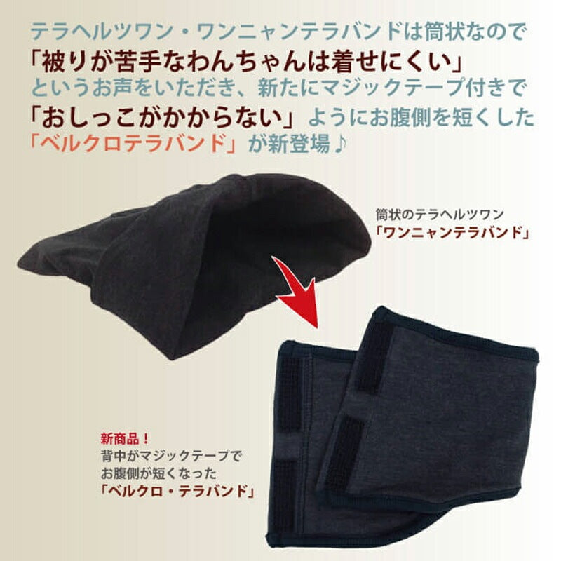 <a href="https://www.qoo10.jp/gmkt.inc/Search/brand.aspx?brandno=125763" target="_blank" class="title_brand" id="btn_brand" title="Coo Couture">Coo Couture</a>テラヘルツワンベルクロテラバンド男の子用ペット介護用品 犬用 腹巻 小型犬 シニア犬 犬服 テラヘルツワン 日本製 メール便1点まで 1メ-2運 7220 【T】