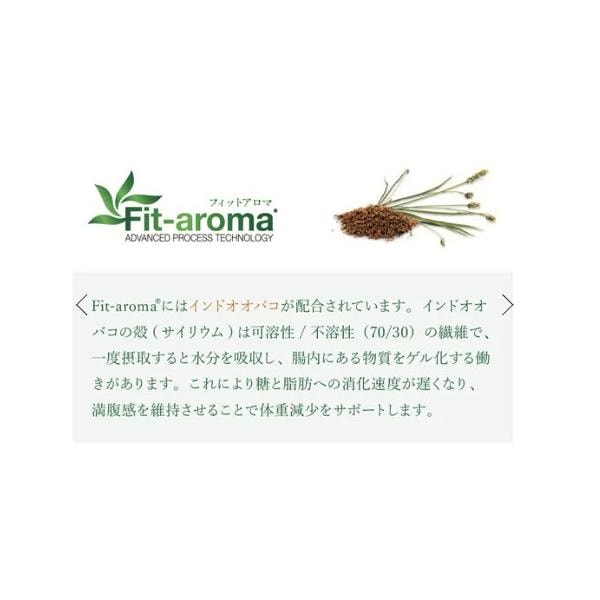 VetSolution ベッツソリューション 犬用 肥満サポート 3.0kg ドッグフード 犬 餌 療養食 肥満 関節ケア 高脂血症理 Monge