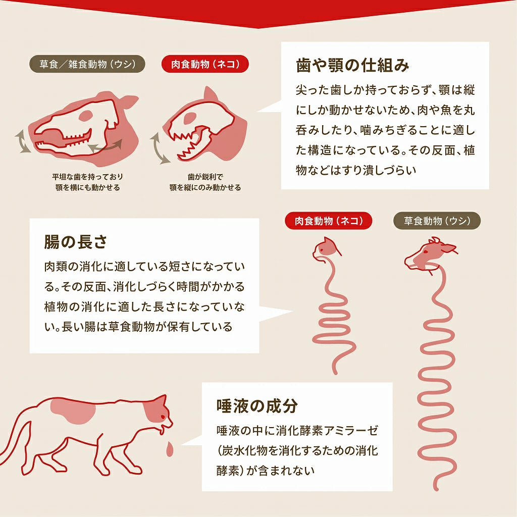 <a href="https://www.qoo10.jp/gmkt.inc/Search/brand.aspx?brandno=123886" target="_blank" class="title_brand" id="btn_brand" title="ACANA(PET)">ACANA(PET)</a>【アウトレット 賞味期限印字不良】アカナ ライト&フィットレシピ 2kg【ドッグフード】【正規品】