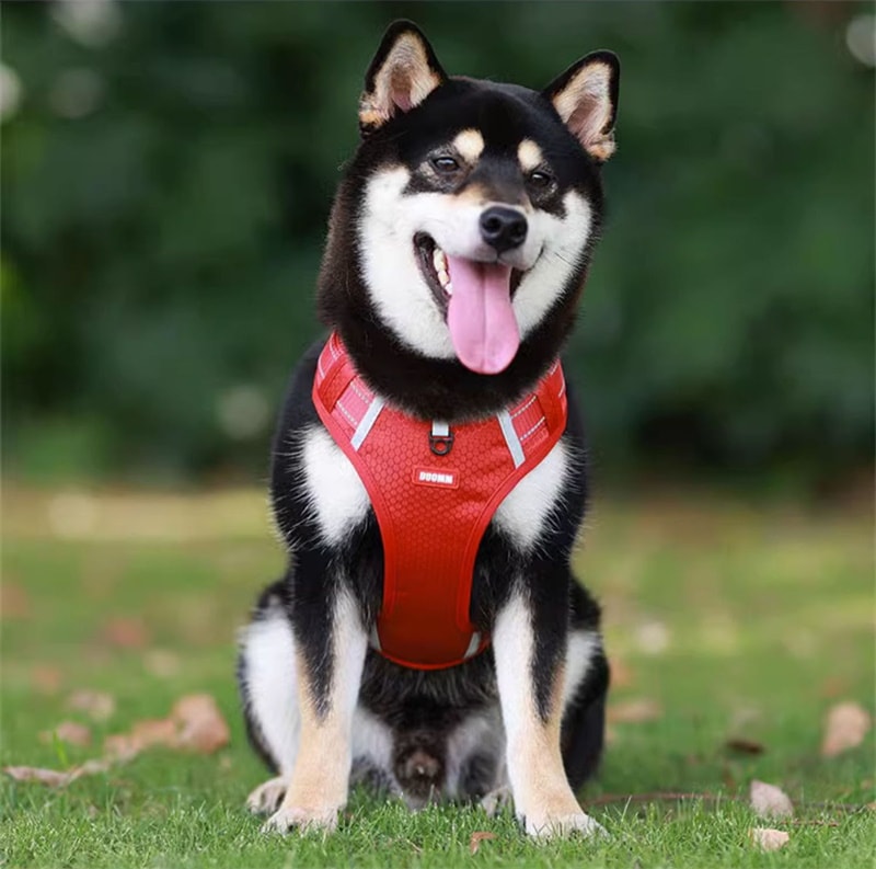 犬ハーネス 犬用 ハーネス 犬用胴輪 反射材料付き 装着簡単 喉にやさしい 小型犬 大型犬 散歩/訓練/お出掛 ペット はーねす 安全 抜けない 軽量 調節可能