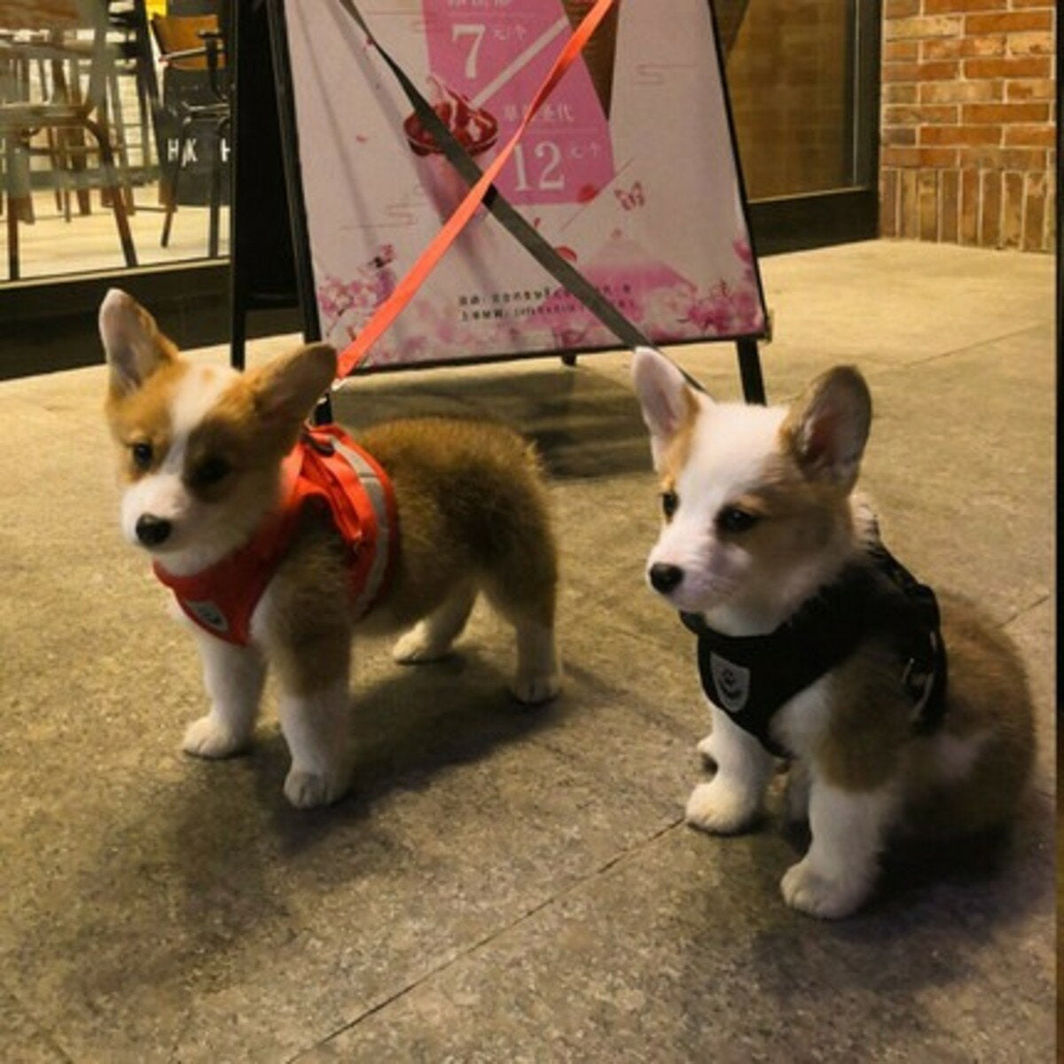 本日のおすすめ ペット メッシュ素材で軽く涼しいハーネス &リードセット 夜間反射ベルト 小型犬 中型犬 シンプル 全6色ペット メッシュ素材で軽く涼しいハーネスペット メッシュ素材で軽く涼しいハーネ