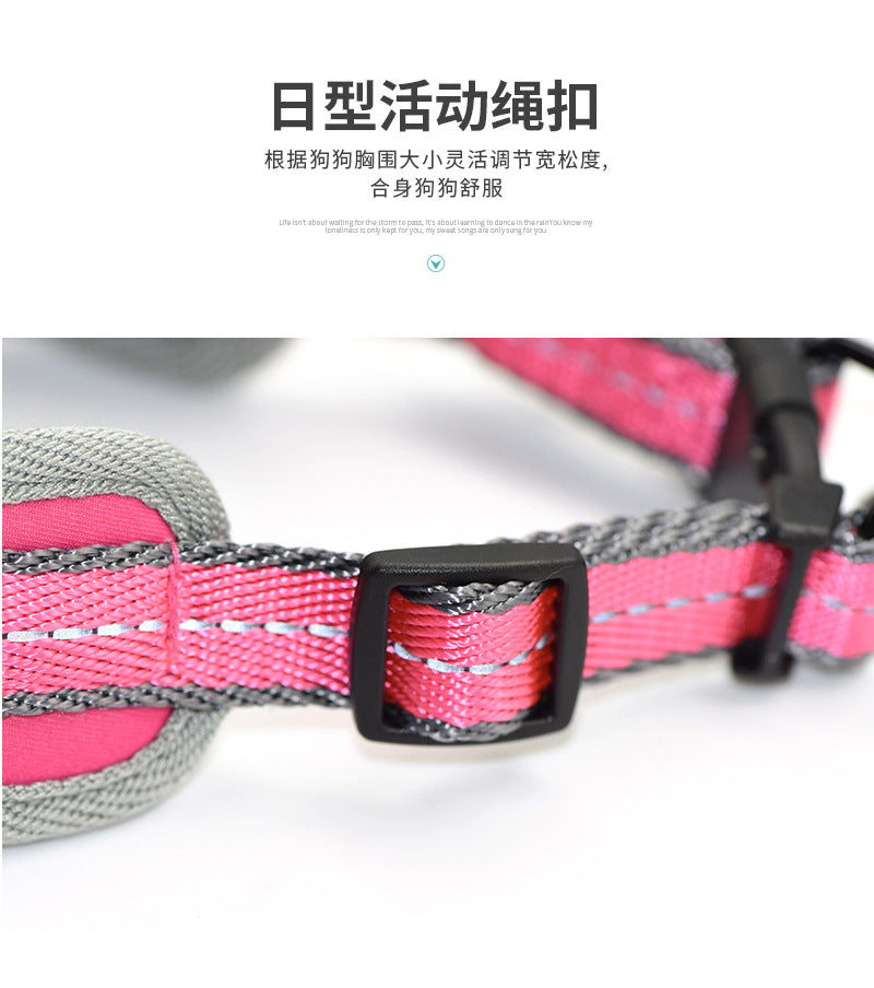 猫用 シンプル 胴輪 お散歩 2点セット 軽量 ハーネス ペット用品 簡単装着 ネコ用ハーネス おしゃれ ハーネスリードセット 犬 小型犬 中型犬 お出かけ 犬用ハーネス ペットハーネス リーシュ リ