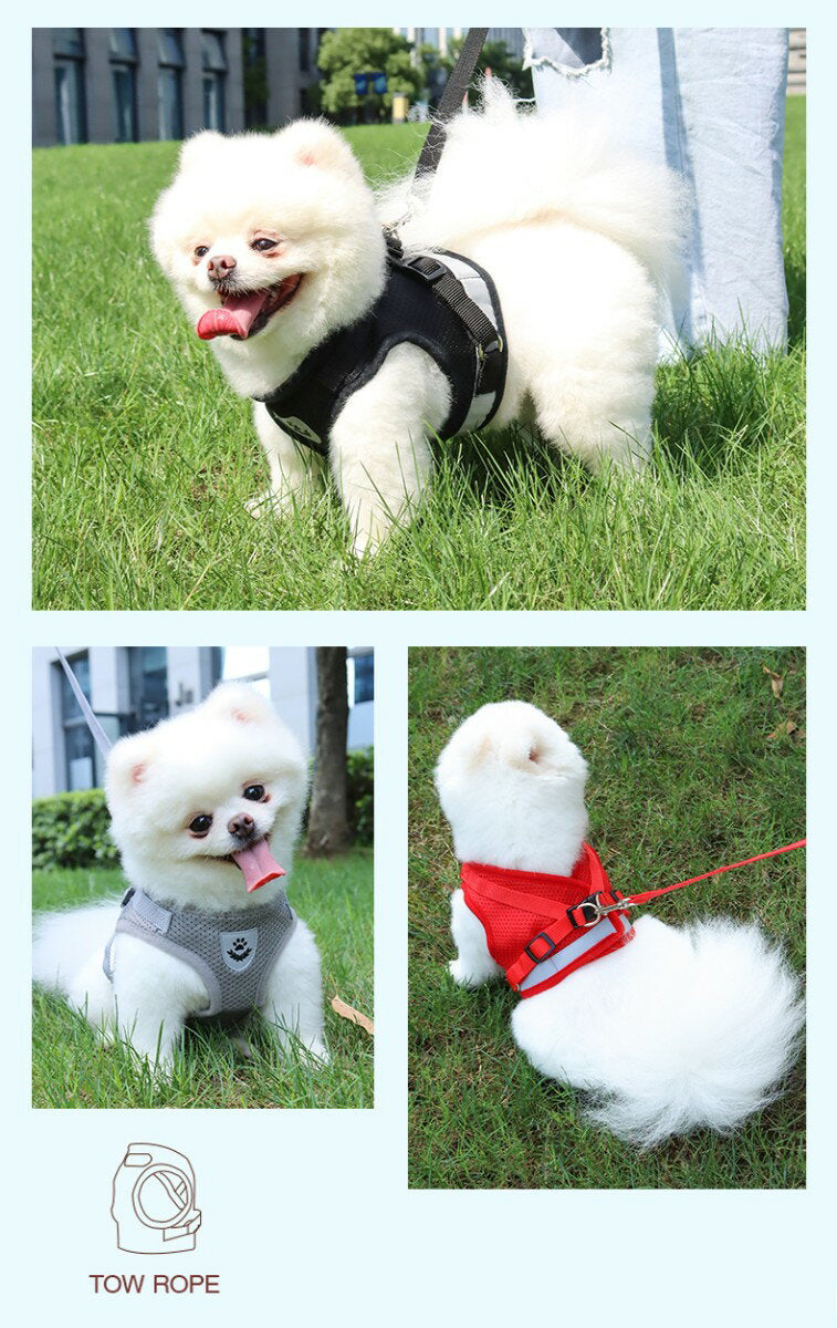 本日のおすすめ ペット メッシュ素材で軽く涼しいハーネス &リードセット 夜間反射ベルト 小型犬 中型犬 シンプル 全6色ペット メッシュ素材で軽く涼しいハーネスペット メッシュ素材で軽く涼しいハーネ