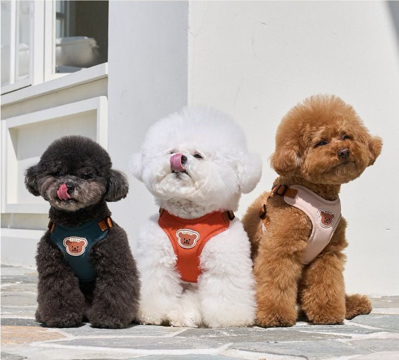 ペット胸ストラップ牽引セット小型犬外出ベスト式牽引ロープ通気テディ熊犬ロープ メガ割ワンピースパンツトートバッグ