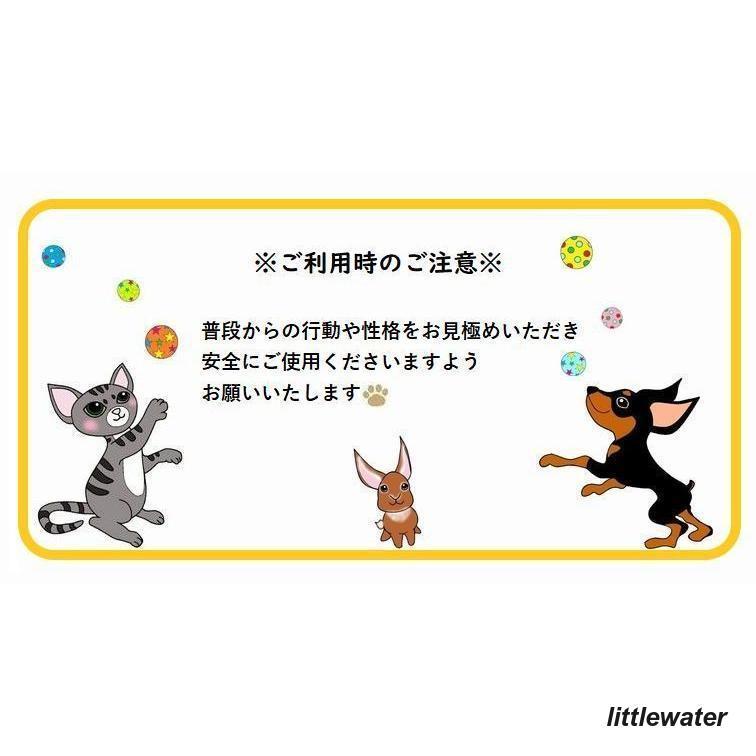 新品入荷 犬用サニタリーパンツ マナーパンツ ドッグウェア ペット用品 生理パンツ ボーダー 花 フラワー かわいい カラフル レース レインボー