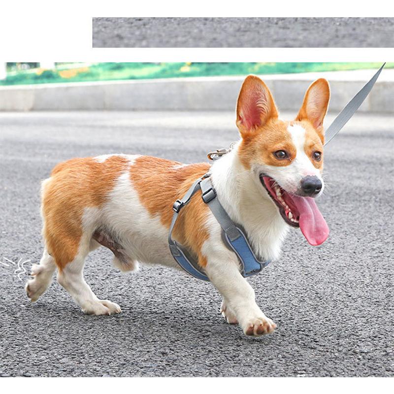 丈夫 ハーネス 大型犬 ハーネスリードセット犬用 小型犬 リフレクター付き 通気性 頑丈 2点 かっこいい 反射素材 犬 負担軽減 サイズ調整 衝撃緩和 中型犬