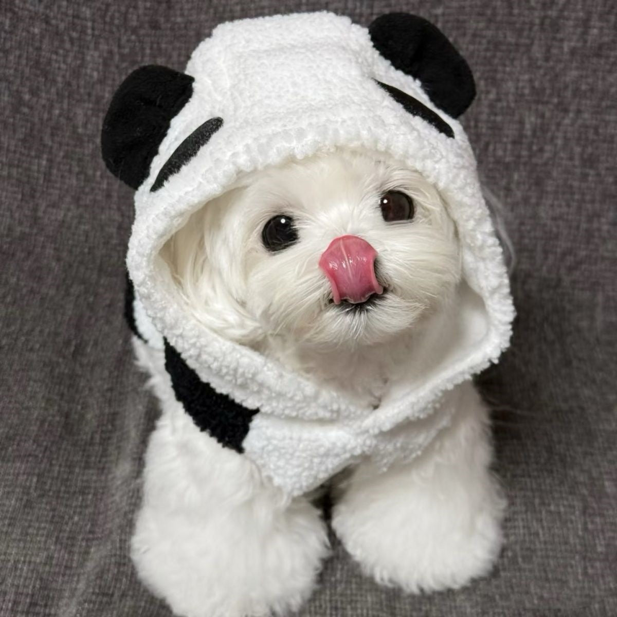ペット子犬犬服秋冬モデル超かわいいパンダコートテディビションポメラニアン万能服犬 服 犬 犬の服 犬 洋服 犬の服夏 犬洋服