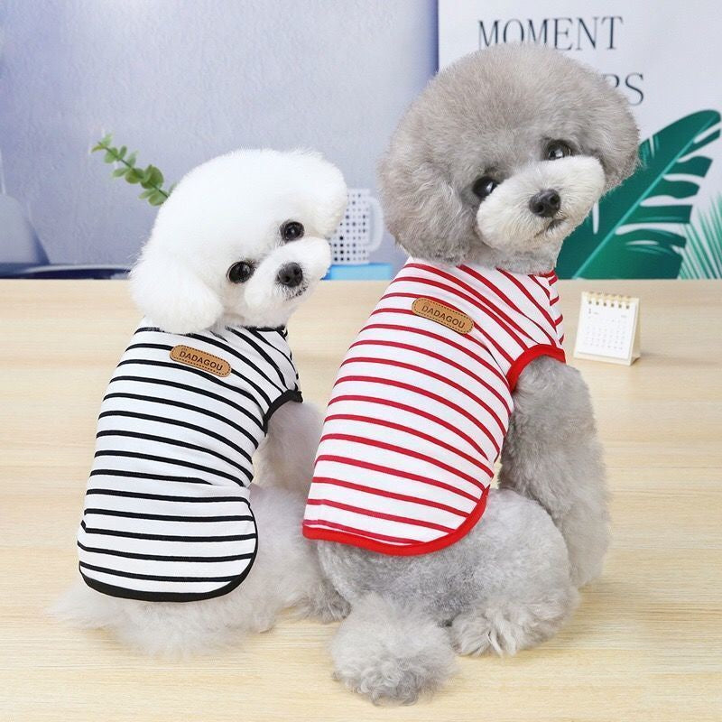 夏用 ストライプ薄手ベスト 通気性抜群 ビションフリーゼ シュナウザー 犬 服 犬 服 犬服 犬の服 ペット用品 ハーネス 小型犬