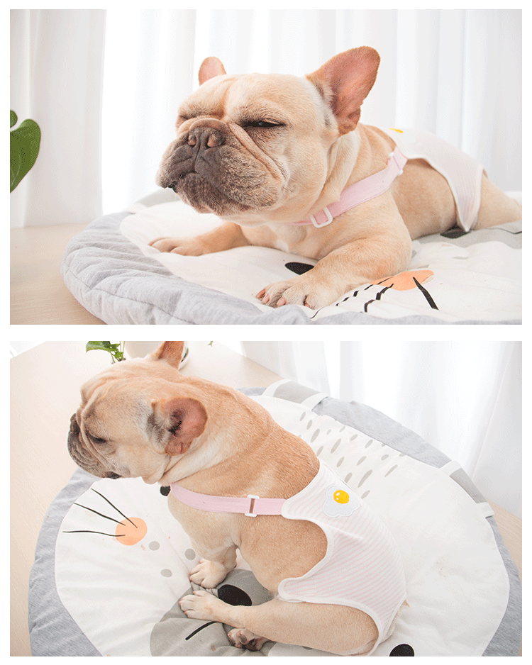 犬用 サニタリーショーツ 小型犬 トイレ用品 犬服 生理用 ケアパンツ 生理パンツ 介護 ペット用 ヒート用 犬用マナーパンツ サニタリーパンツ 中型犬 おむつカバー マナーベルトドッグウェア パンツ