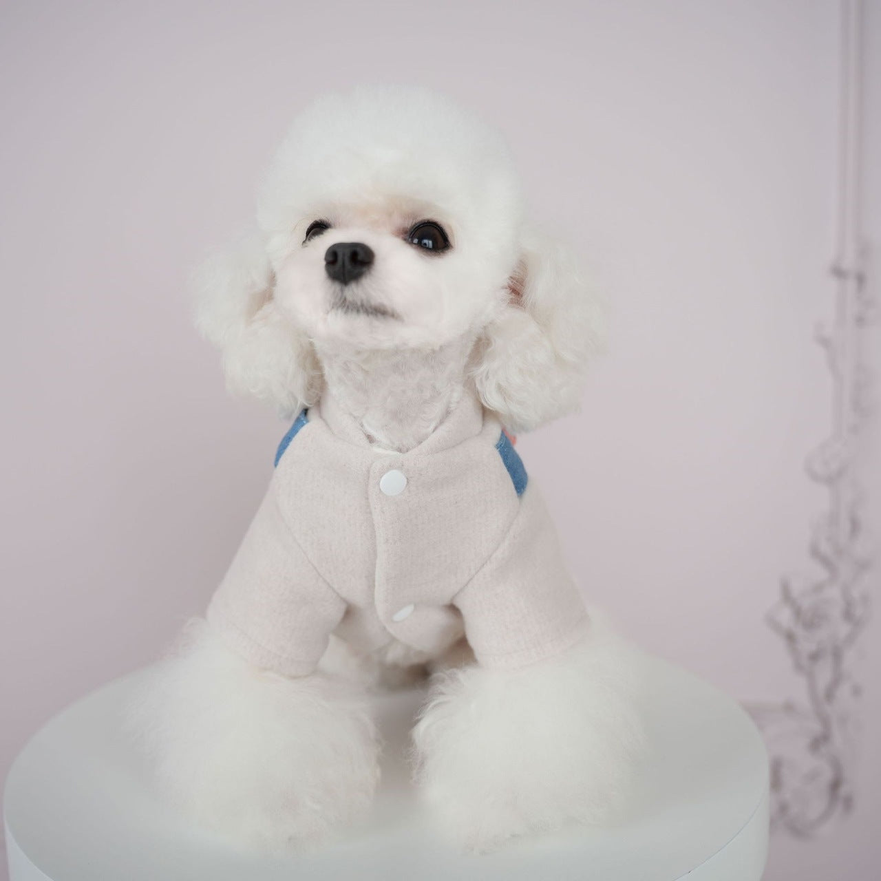 犬服ペット新作秋冬ウェア擦れデニムスーツ犬ビション背中4本足服ズボン2本足服