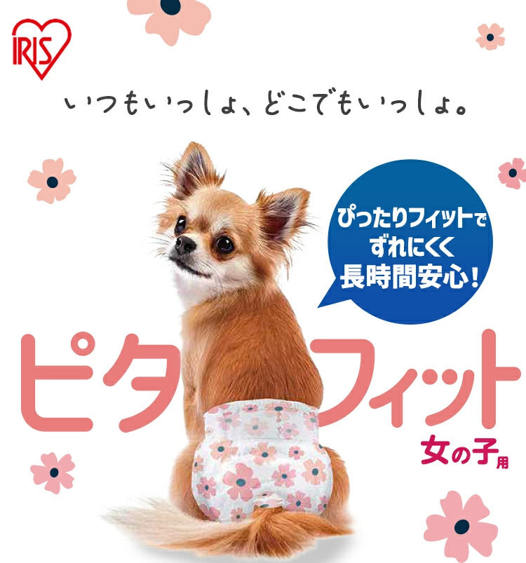 <a href="https://www.qoo10.jp/gmkt.inc/Search/brand.aspx?brandno=49458" target="_blank" class="title_brand" id="btn_brand" title="アイリスオーヤマ">アイリスオーヤマ</a>【公式】6袋まとめ買い/ ペットオムツ 最大4回分吸収 超小型犬 中型犬 ペット用 紙おむつ 猫 介護 粗相 生理 マナー PitaFit NPD * 送料無料