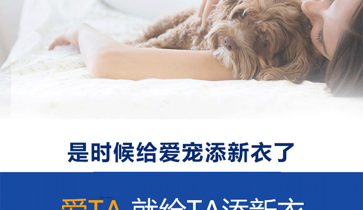 【輸送費無料】結婚式に出席するペットの猫の服夏のハンサムな犬BichonPuppet猫の薄いスーツテディスーツのド