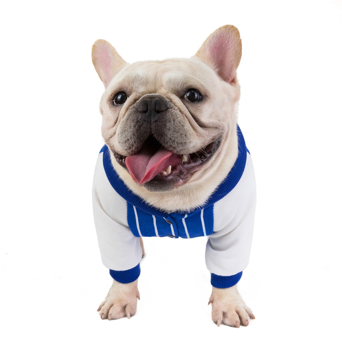 猫 犬 洋服 犬服 ペット服 大中小型犬 ペット用品 犬/猫用 犬の服 ペットウエア 小型犬 中型犬 通気 可愛い ドッグウェア トレーナー 犬 服 ワンピース サロペット ビションフリーゼ 犬猫服