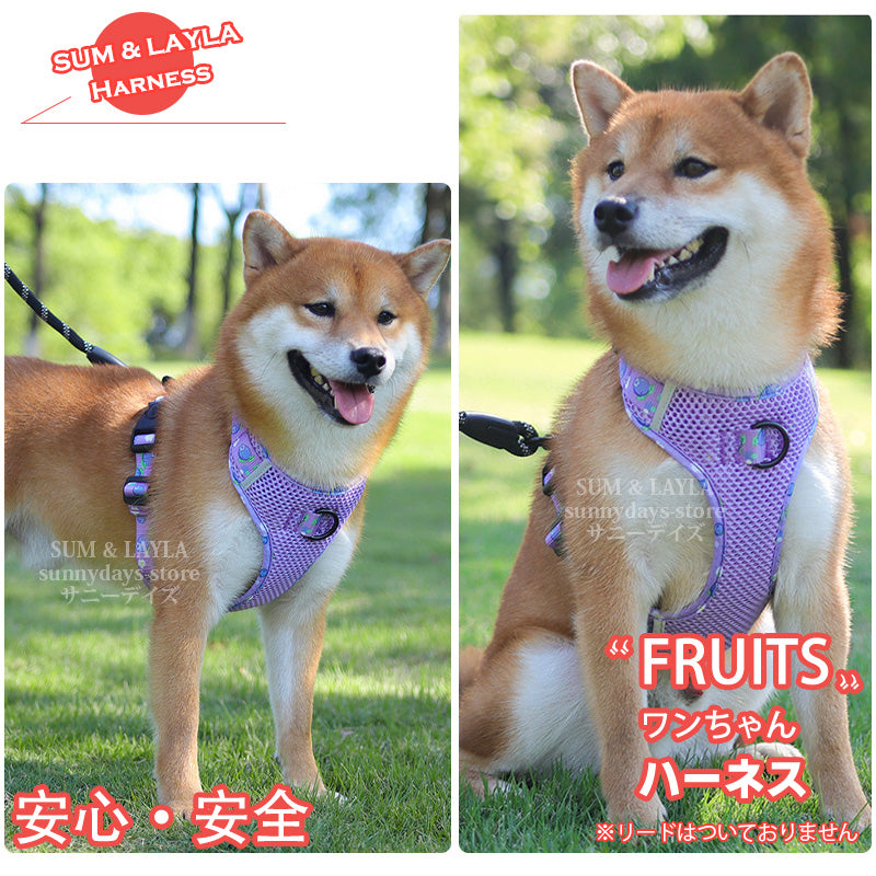通気性 老犬 犬ハーネス 柴犬 犬 胴輪 に優しい 夏色 メッシュ H型 おしゃれ 体温調節 犬用 快適 犬 反射材 抜け防止 痛くない ハーネス ソフト 引っ張り子
