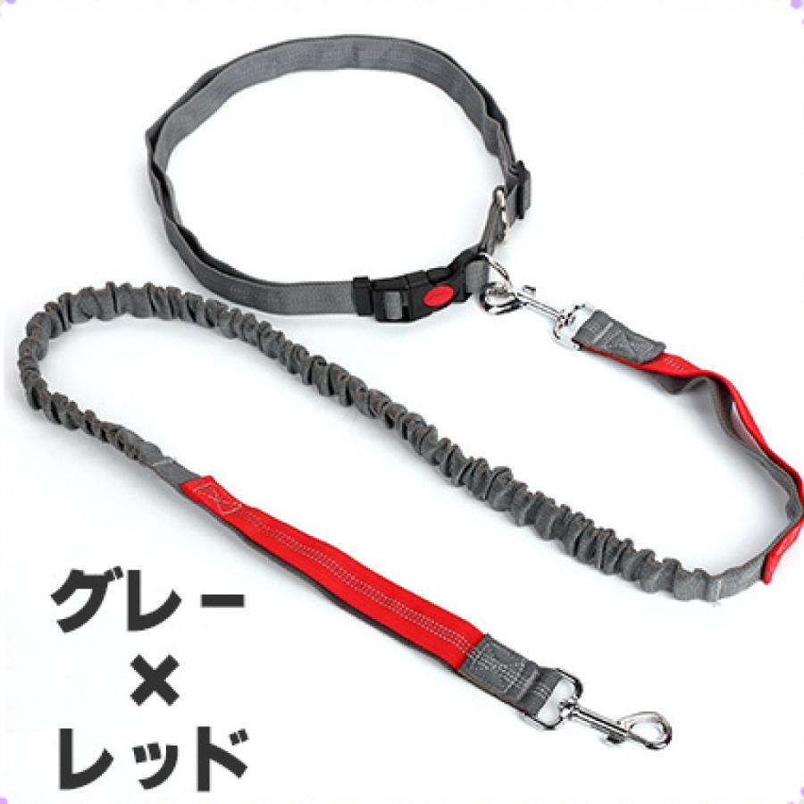 犬 リード ロープ おしゃれ 中型犬 ショルダーリード 外れ防止 丈夫 伸縮 大型犬 ダブル ロングリード 柴犬 2頭 伸縮 ハンズフリー 小型犬 肩掛け