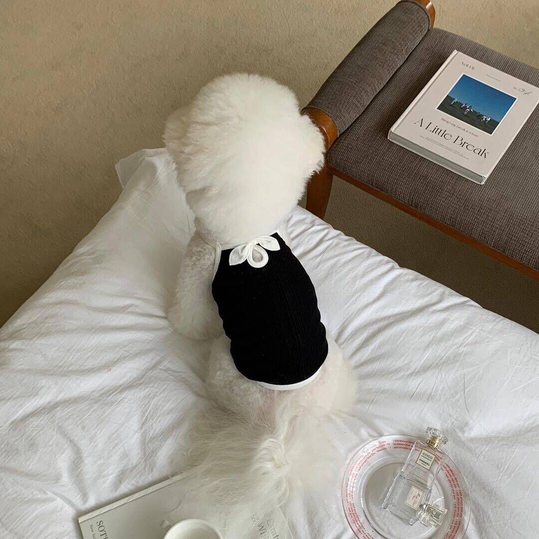 春夏新作 犬服 ペット服 犬 洋服 ペット 犬用品 小中型犬 春夏薄手犬服猫小型犬キャミソールベスト