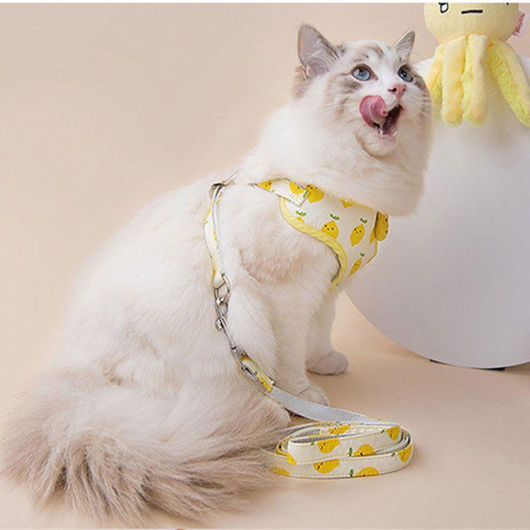 3日以内に出荷 2025新品 2点セット ペット用品 ハーネス リード 猫用 小型犬用 全3色 ポリエステル S ( 15-3kg ) M ( 3-5kg ) L( 5-75kg ) リード長さ12