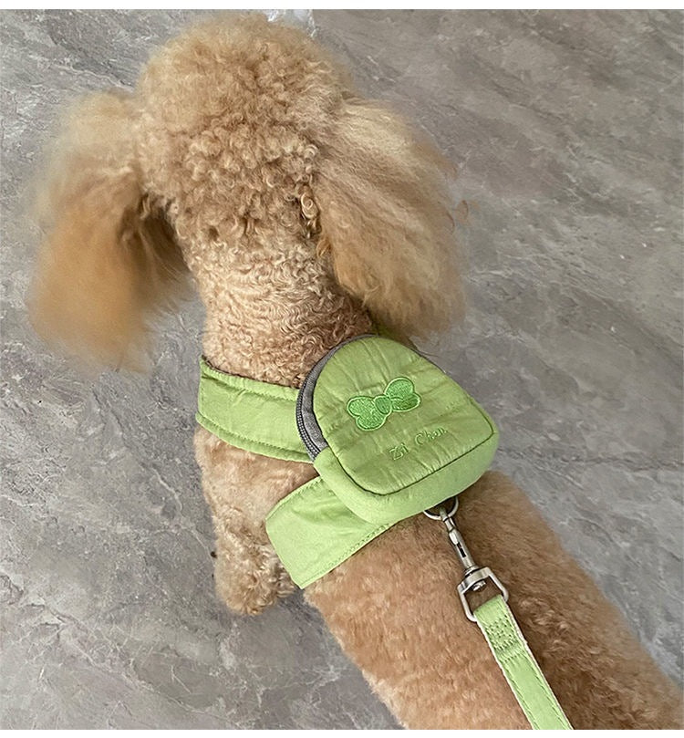かわいいペットの犬はバックパックから散歩に出かけます