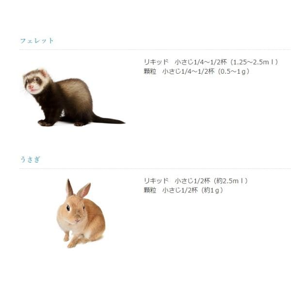 日本ビーエフ アニマストラス 100ml 液体 動物用 サプリメント 犬 猫 うさぎ モルモット 小動物 鳥 免疫力