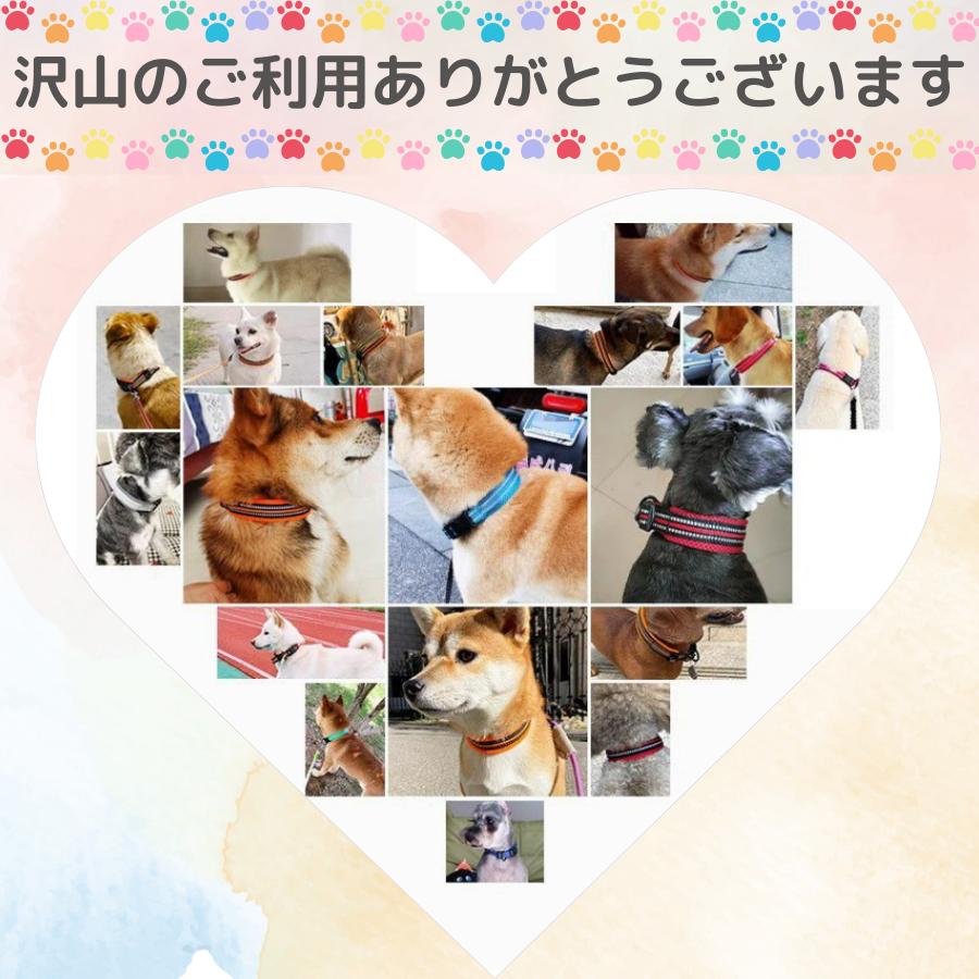 犬 首輪 メッシュ 軽い 軽量 頑丈 反射 夜 蛍光 目立つ 小型犬 中型犬 大型犬 猫 可愛い おしゃれ カラフル ペット ソフト 通気性 春 夏 秋 冬 年中
