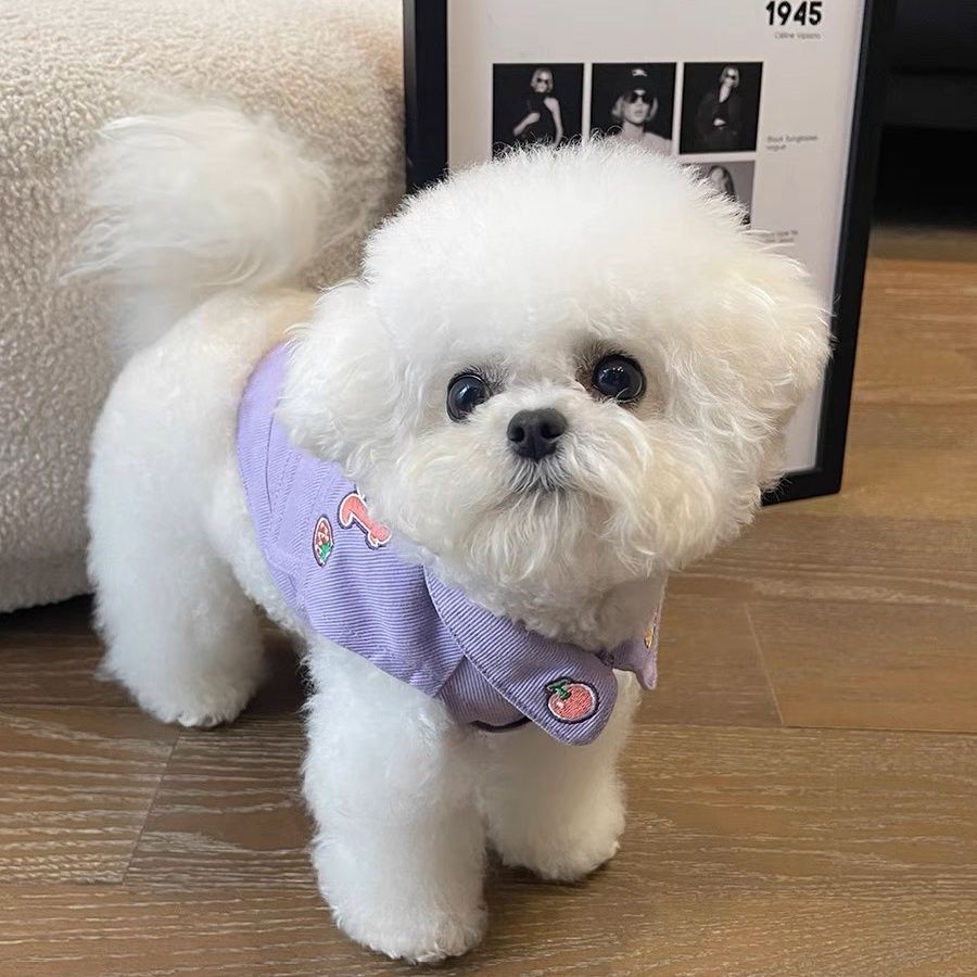 【6989人コレクション】ネットレッド犬服春秋タイプペット子犬テディ比熊雪納瑞小型犬デニム