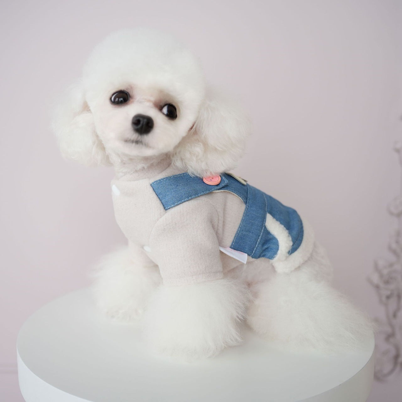 犬服ペット新作秋冬ウェア擦れデニムスーツ犬ビション背中4本足服ズボン2本足服