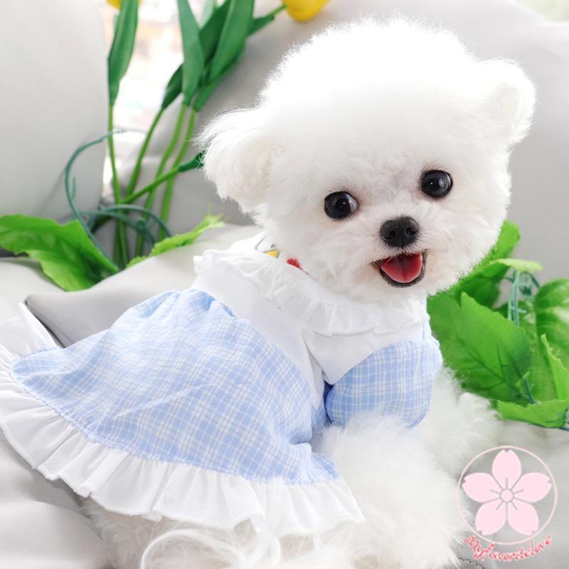 超目玉新品 ペット服 安い 犬 春 夏 涼しいフリル ドレス ワンピース かわいい 可愛い ハイブランド 猫 ドッグウェア