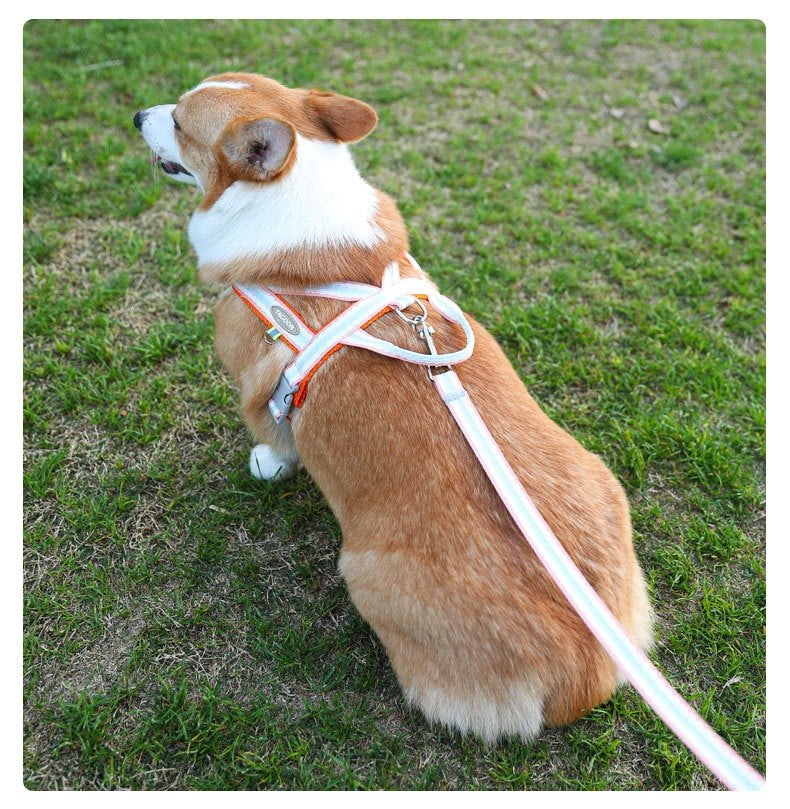 犬の鎖 犬の散歩用リード 小型犬中型犬用サドル 犬用チェストハーネス ペット犬用リード