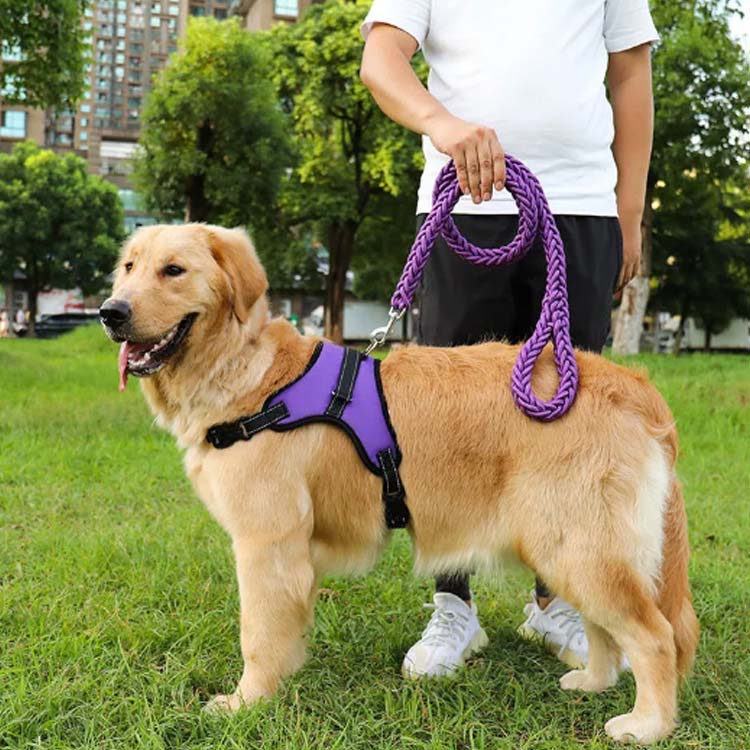 全10色×3点セット!犬 ハーネス ペットハーネス 中型犬 大型犬 ハーネスリードセット ウェアハーネス 犬用 脱出防止 首輪 ナイロン 調整可能 光反射 夜安全 通気