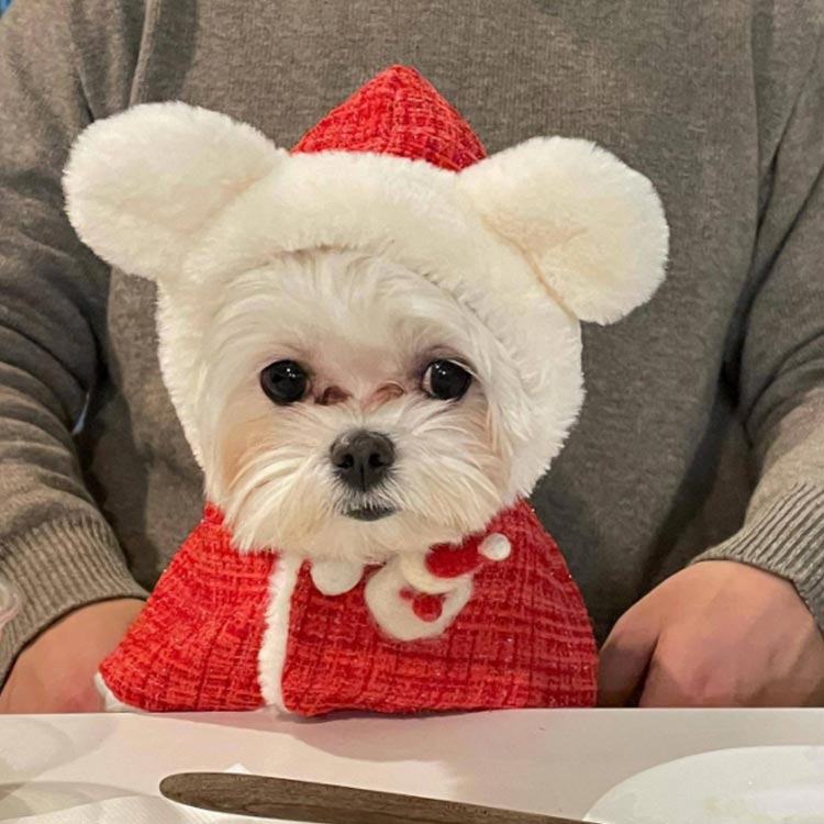 売れ 犬の服 クリスマス クリスマス 猫 フード付き 服 犬 犬服 ペット服 猫服 サンタさん コスチューム 着ぐるみ 犬服 クリスマスマント 犬用 猫用 マント マント サンタローブ コスプレ サン